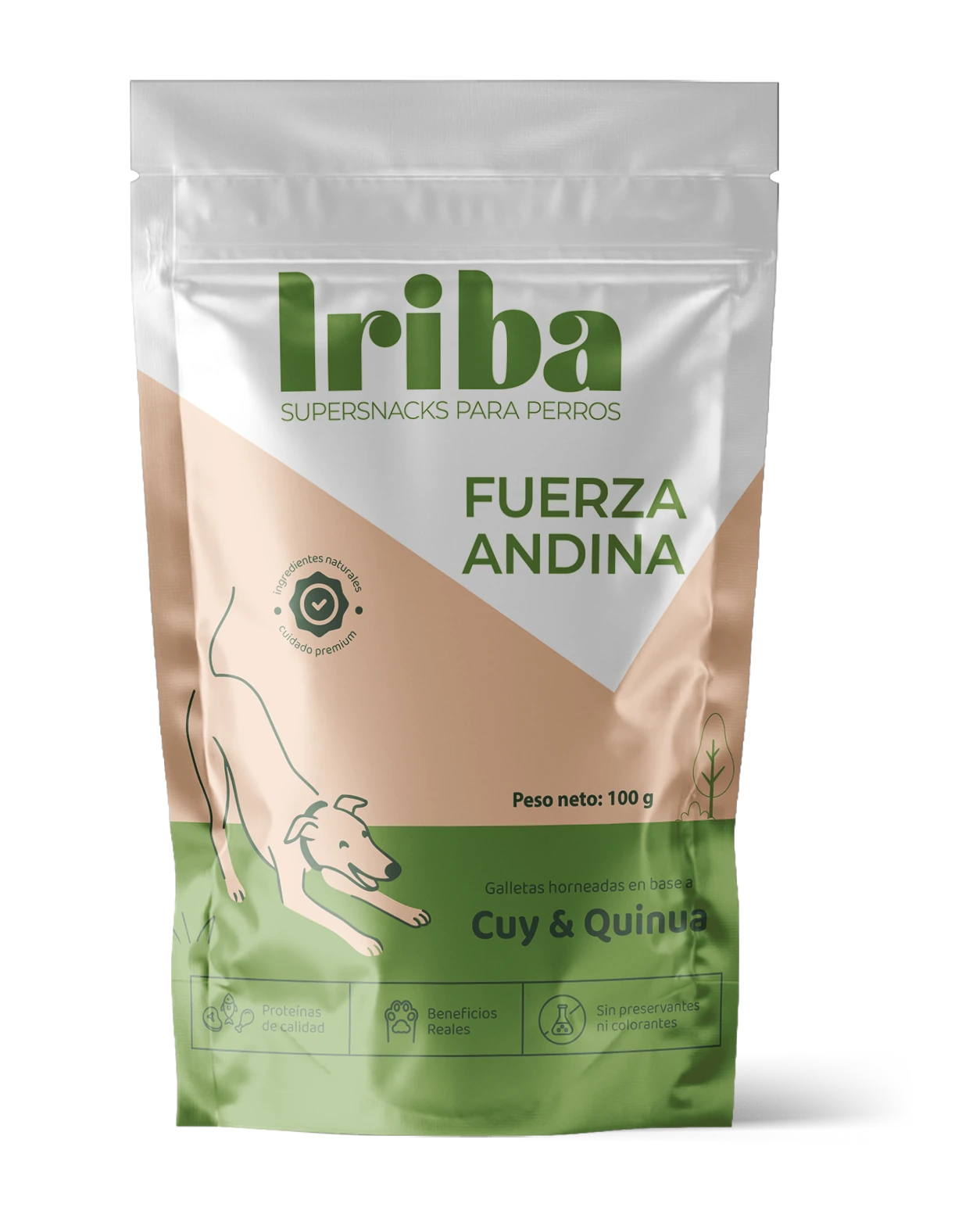 Fuerza Andina